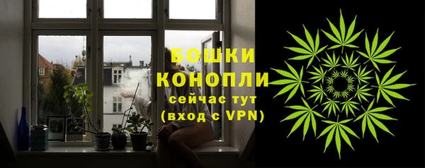 стафф Вяземский