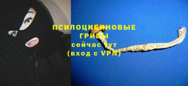 стафф Вяземский
