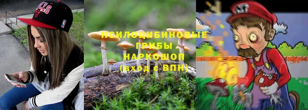 стафф Тобольск