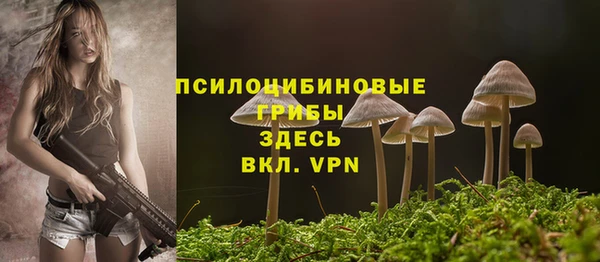 стафф Вяземский
